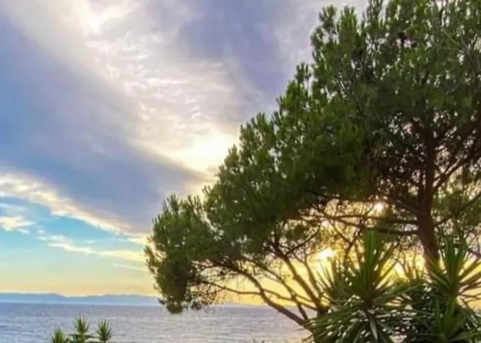 Sun Sea House